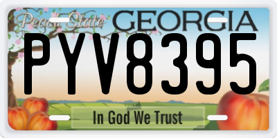 GA license plate PYV8395