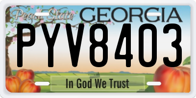 GA license plate PYV8403