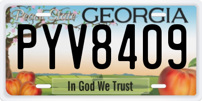 GA license plate PYV8409