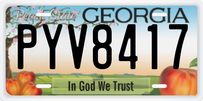 GA license plate PYV8417