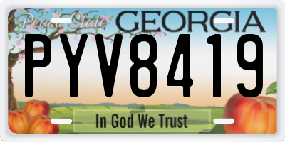 GA license plate PYV8419