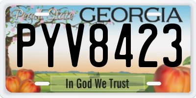 GA license plate PYV8423
