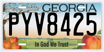 GA license plate PYV8425