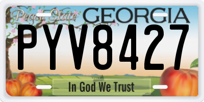 GA license plate PYV8427