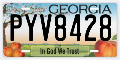 GA license plate PYV8428