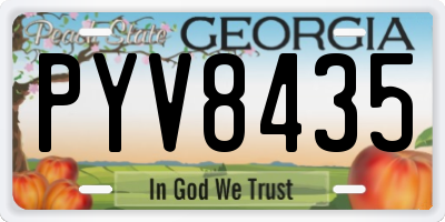 GA license plate PYV8435