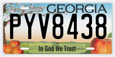 GA license plate PYV8438