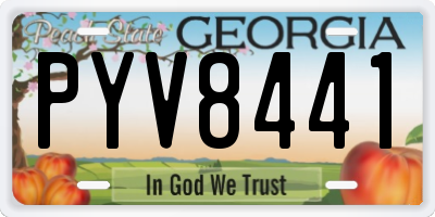 GA license plate PYV8441