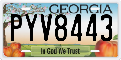 GA license plate PYV8443