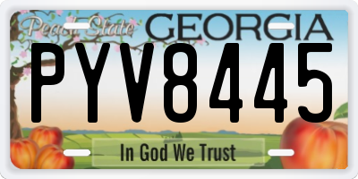 GA license plate PYV8445