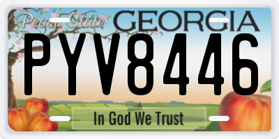 GA license plate PYV8446