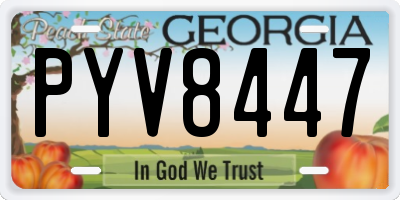 GA license plate PYV8447