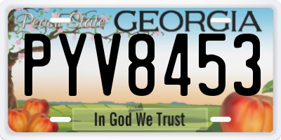 GA license plate PYV8453