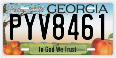 GA license plate PYV8461