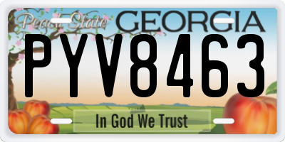 GA license plate PYV8463