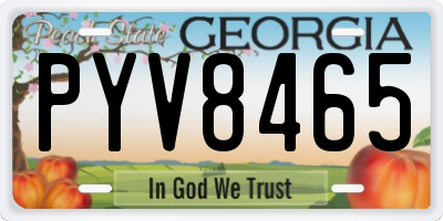 GA license plate PYV8465
