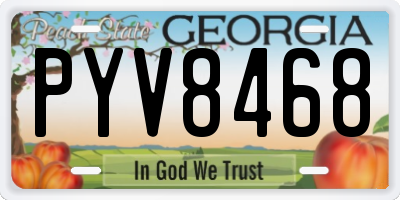 GA license plate PYV8468