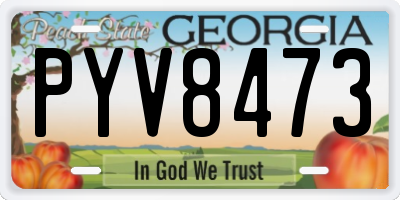 GA license plate PYV8473
