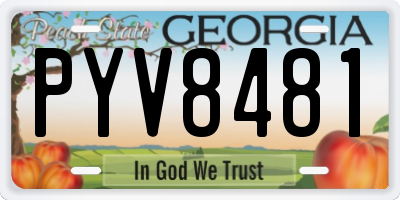 GA license plate PYV8481