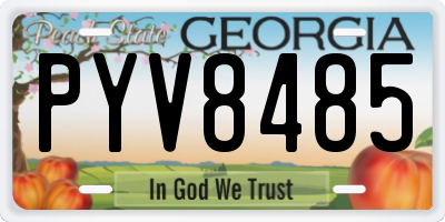 GA license plate PYV8485