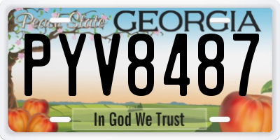GA license plate PYV8487