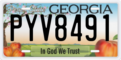 GA license plate PYV8491