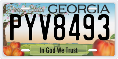 GA license plate PYV8493