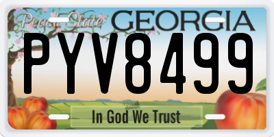 GA license plate PYV8499