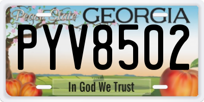 GA license plate PYV8502