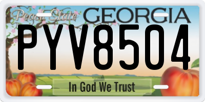 GA license plate PYV8504