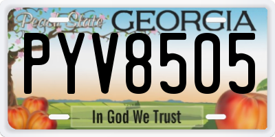 GA license plate PYV8505