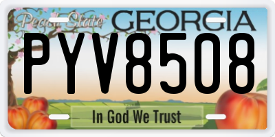 GA license plate PYV8508