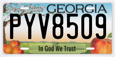 GA license plate PYV8509