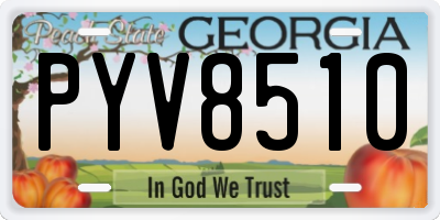 GA license plate PYV8510