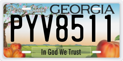 GA license plate PYV8511