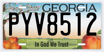 GA license plate PYV8512