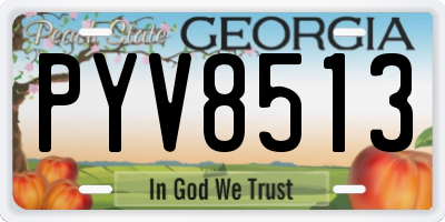 GA license plate PYV8513