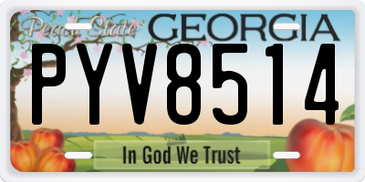 GA license plate PYV8514