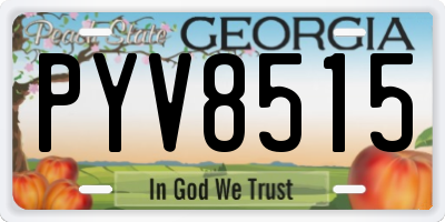 GA license plate PYV8515