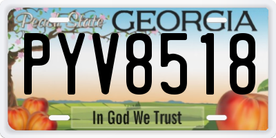 GA license plate PYV8518