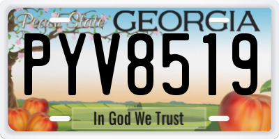 GA license plate PYV8519