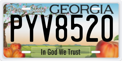 GA license plate PYV8520