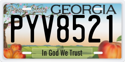 GA license plate PYV8521