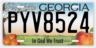 GA license plate PYV8524