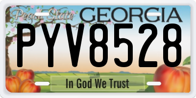 GA license plate PYV8528
