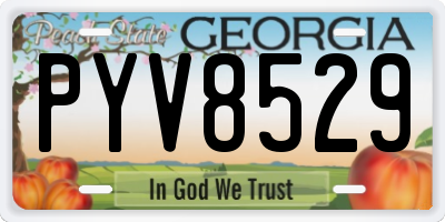 GA license plate PYV8529