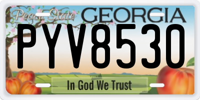 GA license plate PYV8530