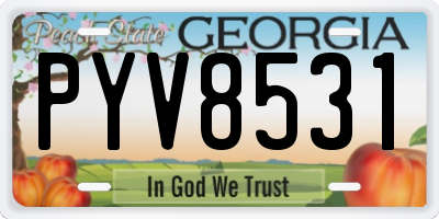 GA license plate PYV8531