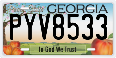 GA license plate PYV8533