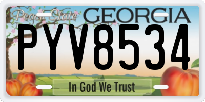 GA license plate PYV8534